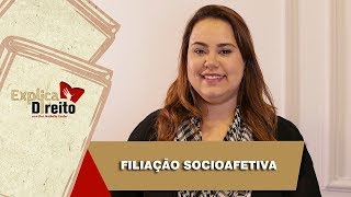 Explica Direito Filiação Socioafetiva  2019 [upl. by Jewell]