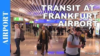 TRANSIT WALK AT FRANKFURT Airport FRA Terminal 1  Connection Flight Transfer Arriving amp Departing [upl. by Lindahl]